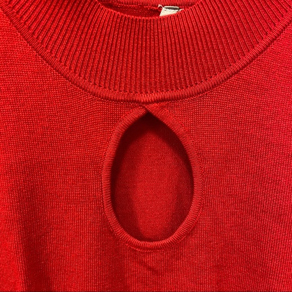 Max Rave Red Lightweight Sweater - Picture 3 of 6